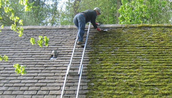 Professional roof moss removal and cleaning in Norwich by Luxury Roof Care Ltd
