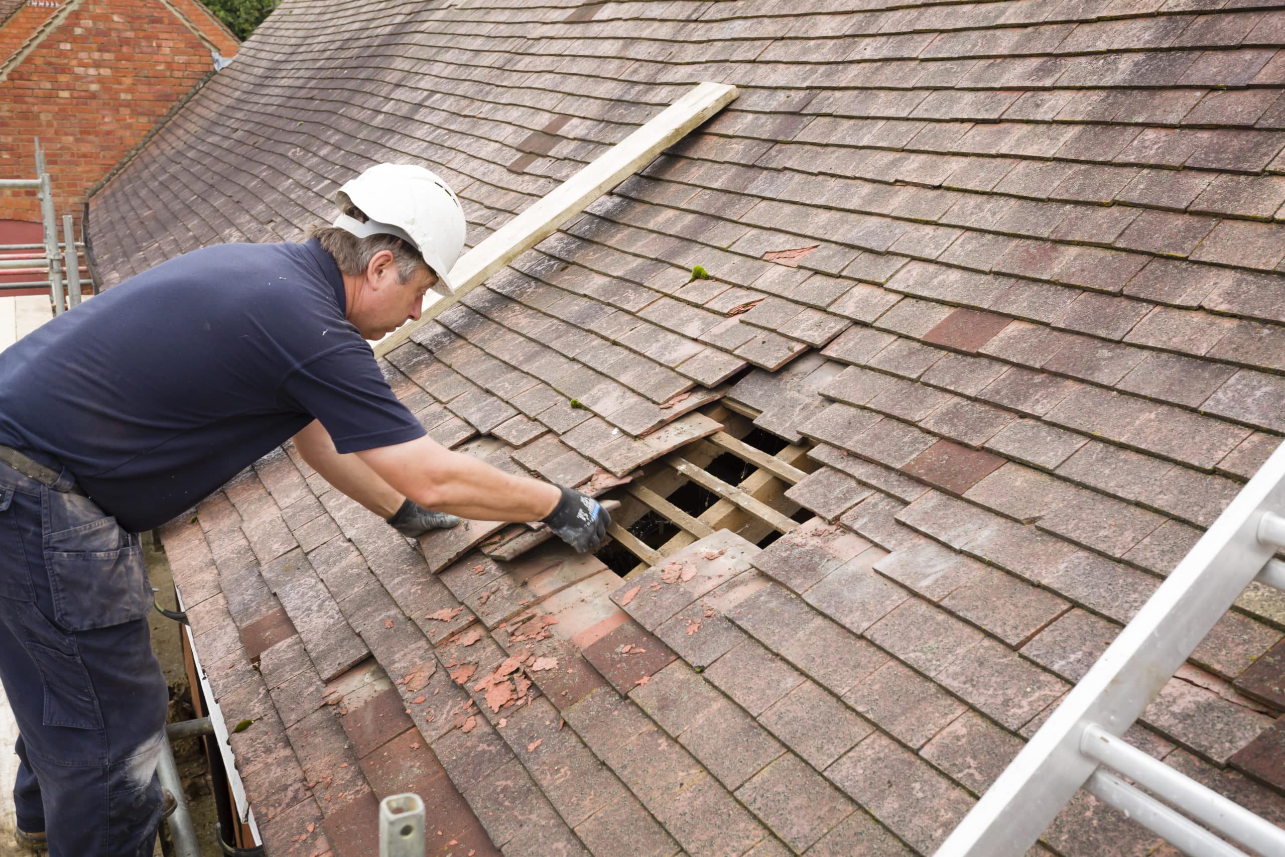 Roof tile and slate repair in Norwich by Luxury Roof Care Ltd
